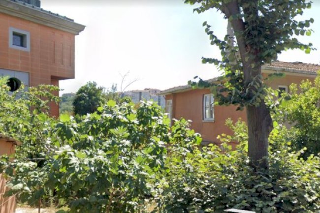 Arnavutköy Konakları - Kultur